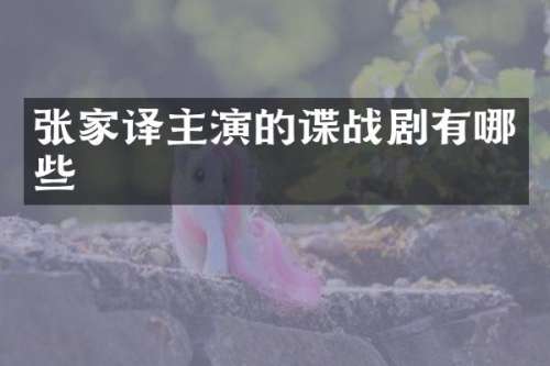 张家译主演的谍战剧有哪些