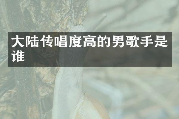 大陆传唱度高的男歌手是谁