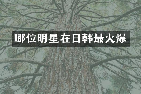 哪位明星在日韩最火爆