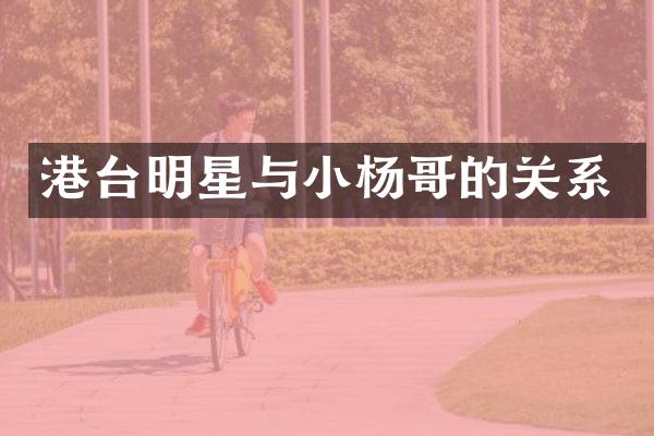 港台明星与小杨哥的关系