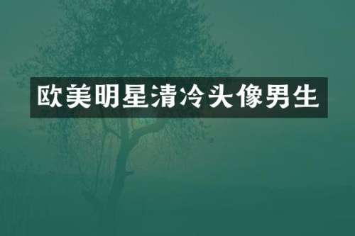欧美明星清冷头像男生