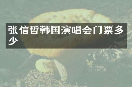 张信哲韩国演唱会门票多少