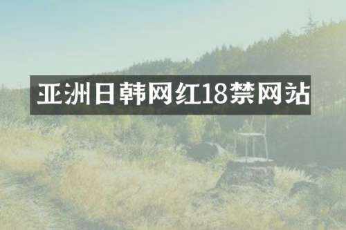 亚洲日韩网红网站