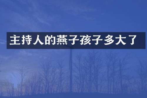 主持人的燕子孩子多大了