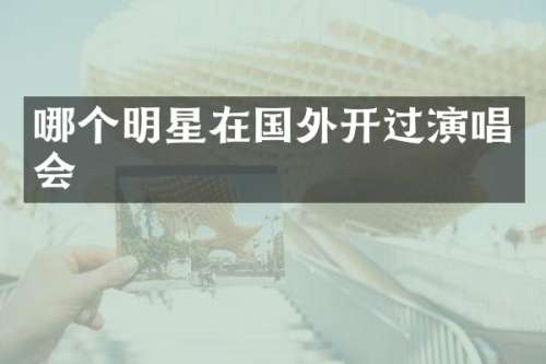 哪个明星在国外开过演唱会