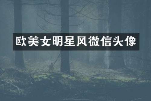 欧明星风微信头像