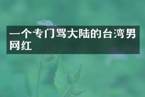 一个专门骂大陆的台湾男网红