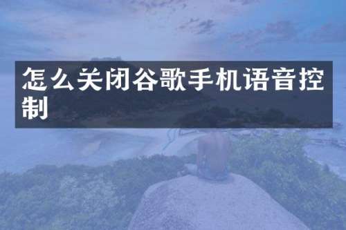怎么关闭谷歌手机语音控制