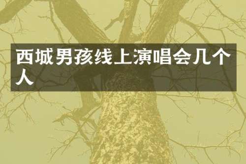 西城男孩线上演唱会几个人