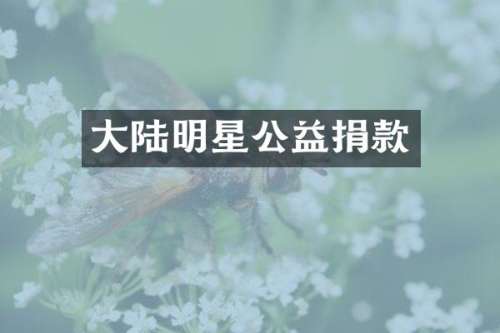大陆明星公益捐款