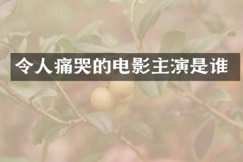令人痛哭的电影主演是谁