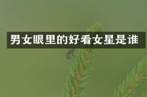 男女眼里的好看女星是谁