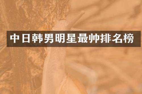 中日韩男明星最帅排名榜