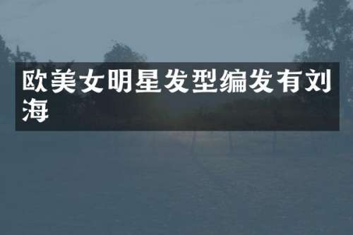 欧明星发型编发有刘海