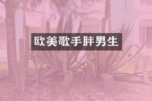 欧美歌手胖男生
