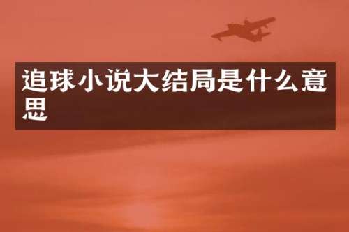 追球小说大结局是什么意思