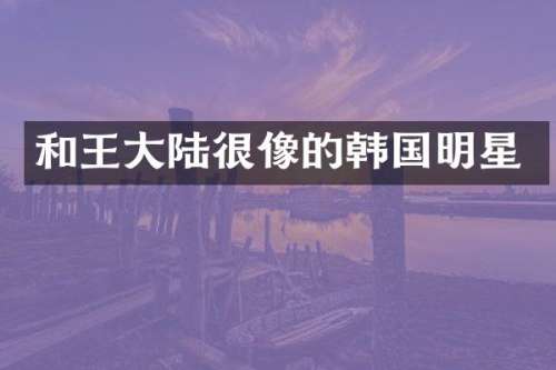和王大陆很像的韩国明星