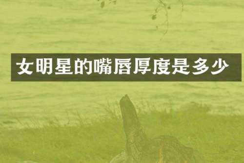 女明星的嘴唇厚度是多少