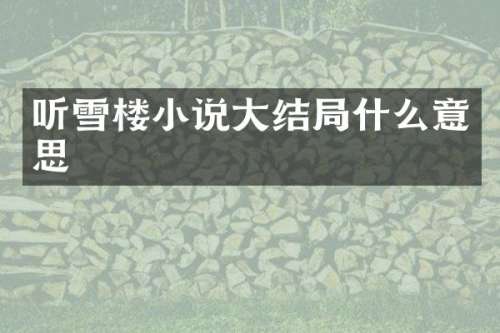 听雪楼小说大结局什么意思