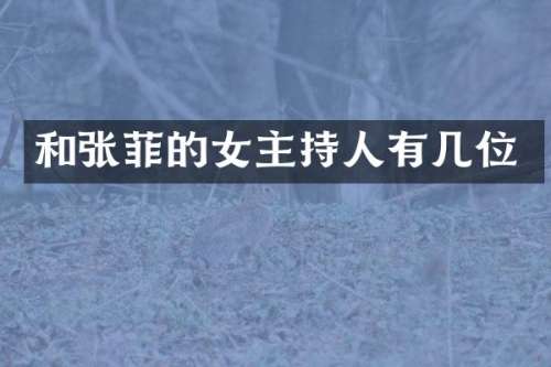和张菲的女主持人有几位