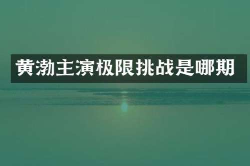 黄渤主演极限挑战是哪期