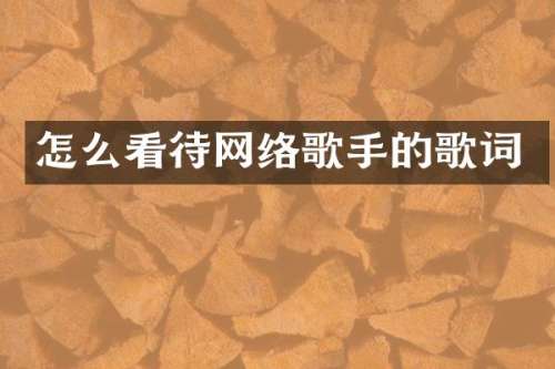 怎么看待网络歌手的歌词
