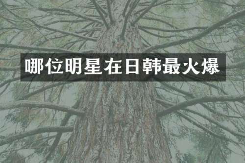 哪位明星在日韩最火爆