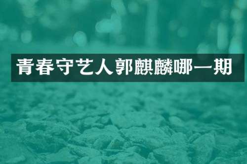 青春守艺人郭麒麟哪一期