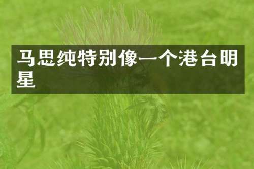 马思纯特别像一个港台明星