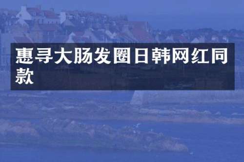 惠寻大肠发圈日韩网红同款