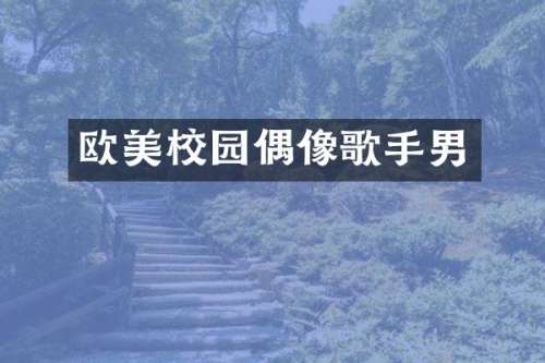 欧美校园偶像歌手男