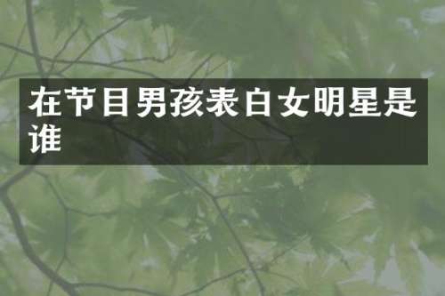 在节目男孩表白女明星是谁