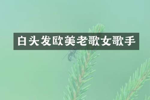 白头发欧美老歌女歌手