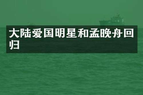 大陆爱国明星和孟晚舟回归
