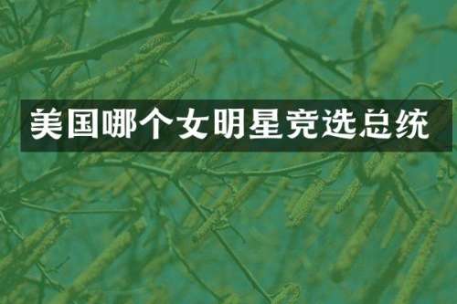美国哪个女明星竞选总统