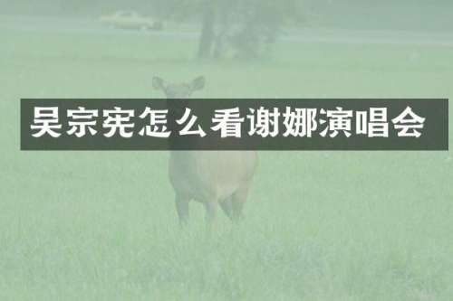 吴宗宪怎么看谢娜演唱会