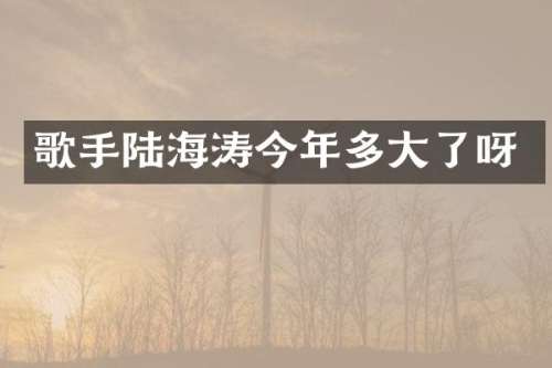 歌手陆海涛今年多大了呀