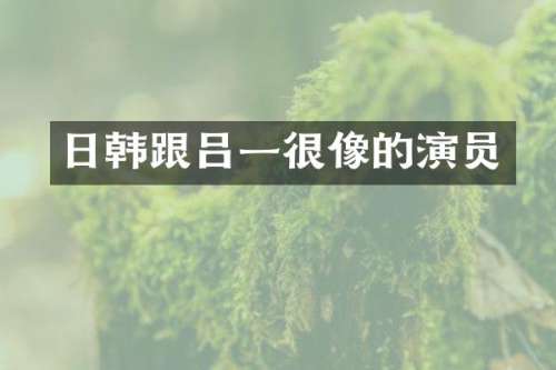 日韩跟吕一很像的演员