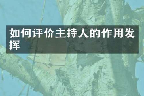 如何评价主持人的作用发挥
