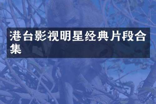 港台影视明星经典片段