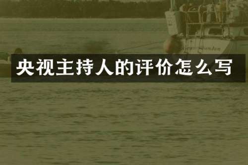 央视主持人的评价怎么写