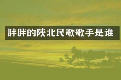 胖胖的陕北民歌歌手是谁
