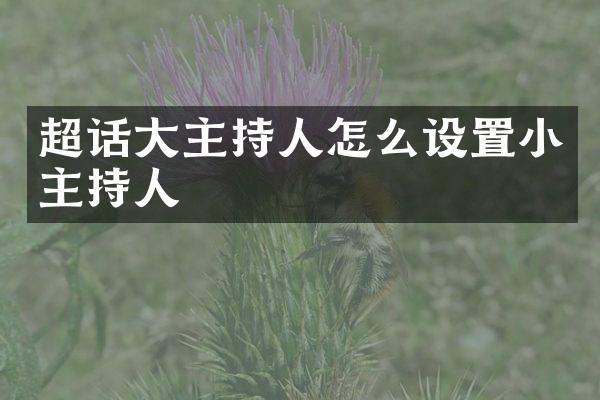 超话大主持人怎么设置小主持人