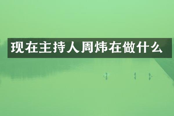 现在主持人周炜在做什么