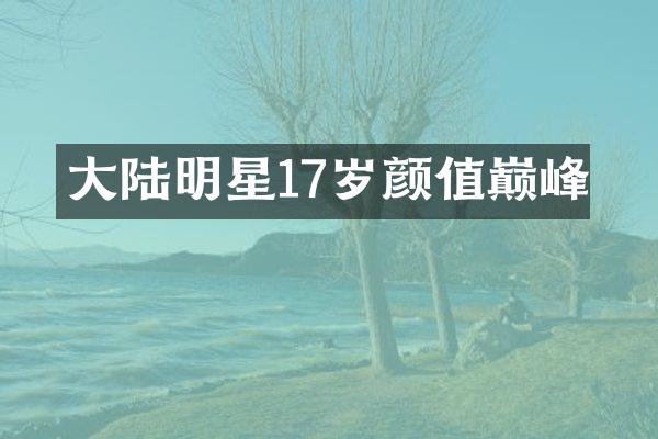 大陆明星17岁颜值巅峰