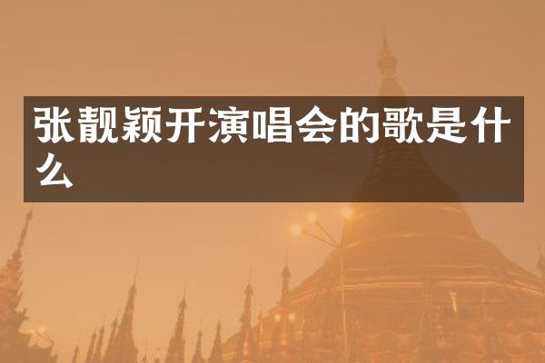张靓颖开演唱会的歌是什么