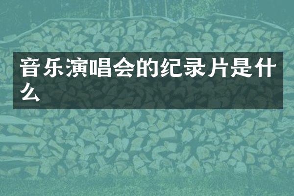 音乐演唱会的纪录片是什么