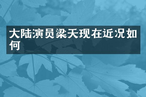 大陆演员梁天现在近况如何