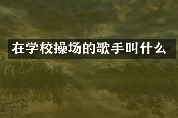 在学校操场的歌手叫什么