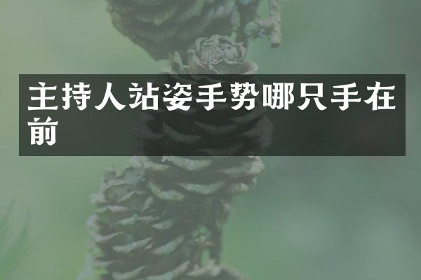 主持人站姿手势哪只手在前